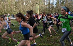 Quart de finale championnat de France à Séreilhac (87)