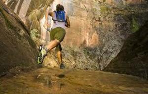 Entraînement Proposé