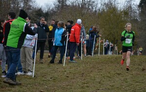Demi-Finales Championnats de France de Cross - BRESSUIRE - 79