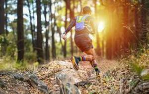 Entraînement ANNULE