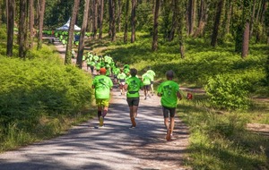 Entraînement