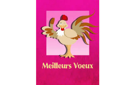 Bonne Année 2019