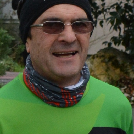 Francis Piquepaille
